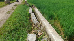 Masih Seumur Jagung, Proyek P3-TGAI di Desa Kecer Hancur