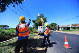 Giatkan Pemeliharaan Jaringan di Berbagai Wilayah, PLN Pastikan Ibadah Nyaman Selama Ramadhan