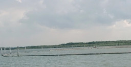 Baca juga : Ditjen PSDKP Sidak Pagar Laut PT Sumber Mas Plywood yang Diduga Tak Berijin