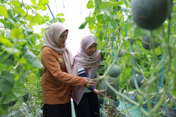 Kembangkan Wisata Alam Gosari di Gresik, PLN Peduli Berdayakan Kartini Lokal