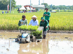 Melalui Electrifying Agriculture di Jawa Timur, PLN Perkuat Ketahanan Pangan