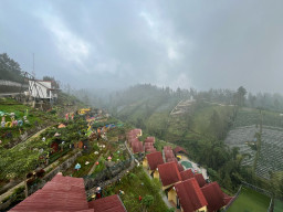 The Nature Bromo, Penginapan yang Berikan Konsep Alam Terbuka