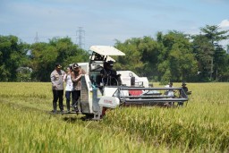 Kerjasama dengan Pemprov DKI Jakarta, Bupati Kediri Ingin Bantu Petani Dapatkan Stabilitas Harga