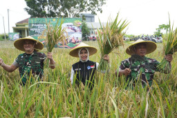 Meski Kota Terkecil se-Indonesia,  Panen Raya Padi Kota Mojokerto Tembus 641,3 Ton