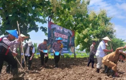Perkuat Ketahanan Pangan, Pemkab Sampang Garap 51 Hektare Lahan Tidur