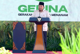 Tanamlah Cabai, Tomat dan Timun di Rumah
