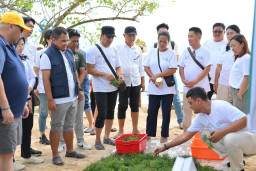 Dari Pesisir Nusa Lembongan, PLN Bangun Kemandirian Ekonomi Melalui Rumput Laut