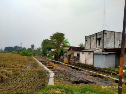 Tunjang Program Ketahanan Pangan, Pemdes Balongmacekan Bangun Pendamping Jalan Pertanian