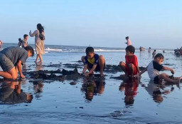 Pesona Pantai Wonosari, Menikmati Eksotisme Selat Bali dari Banyuwangi