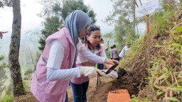 Peringati Hari Lingkungan Hidup, PLN Peduli Gelar Aksi Hijaukan Tosari