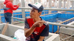 Lima Hari Menghilang, Ini Kronologi Hilangnya Kusnadi Menurut Penjaga Kandang Ayam