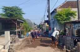 Pemerintah Desa Sumokali Kecamatan Candi Pavingisasi Jalan Cemara Area Sawah RT 06 RW 02