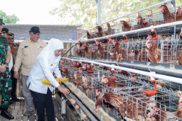 Sirkuit Motor Cross Jotosanur Lamongan Disulap Jadi Kampung Pandu Tanpa Residu