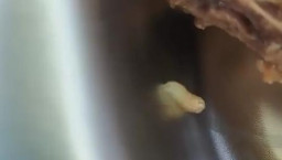 Heboh! Temuan Belatung dalam Makan Bergizi Gratis di Sekolah Tuban