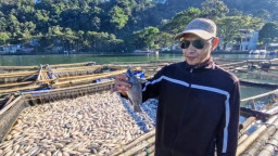 DLH Ponorogo Dorong Petani Beralih Budidaya Ikan Kolam Dibandingkan Keramba