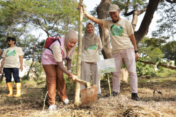 Tanam 100 Pohon Produktif, PLN Peringati Hari Lingkungan Hidup Sedunia Dan Dukung NZE