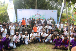 Tanam 2000 Bibit Mangrove, PLN UIT JBM Implementasikan Green Action di Sungai Bajulmati