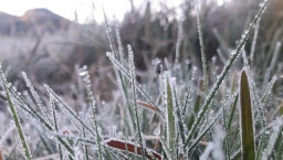 Fenomena Bediding Bisa Sampai Agustus