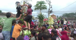 Ratusan Warga Lumajang Berebut 25 Gunungan Hasil Bumi