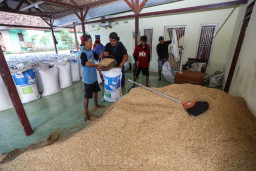 Penggilingan Padi Besar Nakal, Diserahkan ke Kapolri