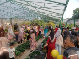 Petro Agrifood Expo 2025 Beri Sensasi Belanja Produk Pertanian Langsung dari Kebun Percobaan