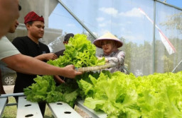 Komitmen Fokus di Sektor Pertanian, Pemkab Banyuwangi Dorong Petani-petani Muda Kreatif