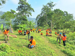 Kolaborasi Hijau: Pokja Grahadi dan BPBD Jatim Tanam 100 Pohon di Tahura Raden Soerjo