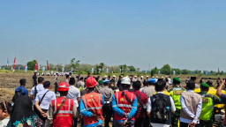PLN Dukung Keandalan Listrik Penanaman Jagung Serentak Bersama Santri se-Indonesia