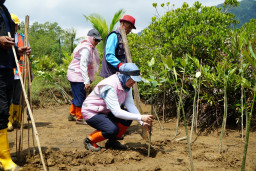 Tanam 100 Bibit Mangrove di Trenggalek, PLN Dukung Target Net Zero Emission