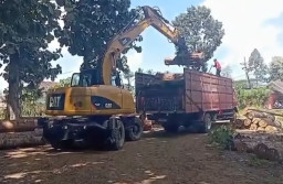 Geger! Ekskavator 15 Ton Menghilang di Lumajang, Kerugian Capai Rp 1,5 Miliar