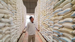 Stok Beras Tembus 95 Ribu Ton, Bulog Probolinggo: Aman hingga 3 Tahun
