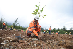 Pascatambang, SIG Tanam 13.424 Batang Pohon untuk Perlindungan Keanekaragaman Hayati di Aceh