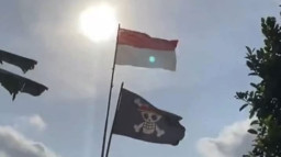 Pengibaran Bendera One Piece, Pemerintah Pro-Kontra