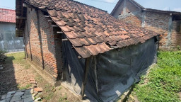 Gagal Tinggal di Rusunawa, 6 Orang di Kota Madiun Terpaksa Bertahan di Kontrakan tak Layak Huni