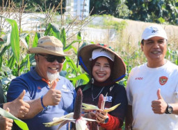 Harga Jual Tinggi, Pemkot Madiun Uji Coba Budidayakan Jagung Ungu