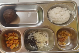 Peningkatan Kasus Keracunan Makanan di Sekolah, Program Makan Bergizi Gratis (MBG) Jadi Sorotan!