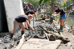 Terungkap, Lahan 49.500 Ha Hutan di Bali, Tersisa 3 Persen