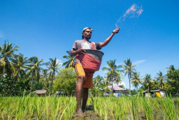 Hingga Akhir 2025, Pemkab Madiun Pastikan Stok Pupuk Subsidi Aman