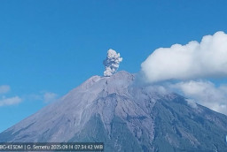 Gunung Semeru Kembali Erupsi Keempat kali, Tinggi Letusan Capai 800 Meter