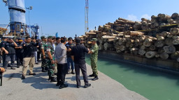 Ribuan Kubik Kayu Ilegal Asal Mentawai Digagalkan di Gresik, Kerugian Negara Capai Ratusan Miliar