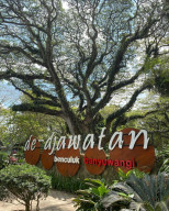 Hutan Trembesi Ikonik De Djawatan Tutup Sementara 31 Oktober–1 November 2025