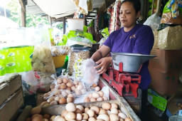 Harga Telur di Jombang Masih Meroket, Disdagrin Gelar Pasar Murah