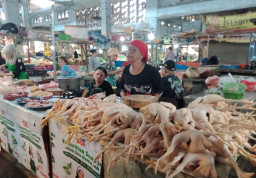 Konsumen Sumringah, Harga Daging Ayam di Lumajang Berangsur Turun
