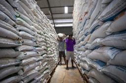 Baca juga : Serapan Gabah di Madiun Capai 95 Persen, Harga Tetap Rp 6.500 per Kg