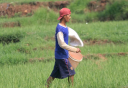 DTPHPKP Magetan Catat Serapan Pupuk Subsidi Capai 60 Persen hingga September