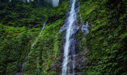 Air Terjun Tretes Wonosalam, Surga Alam Bagi Pencinta Petualangan