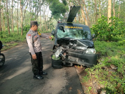 Pikap Adu Banteng dengan Motor di Jalan Tengah Hutan