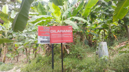 Warga Gresik Ancam Gugat Class Action BPN atas Perpanjangan HPL PT Semen Indonesia