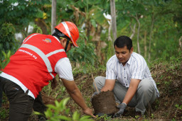 Peringati Hari Pahlawan, PLN Gelar Tanam Pohon di Serentah di Jatim