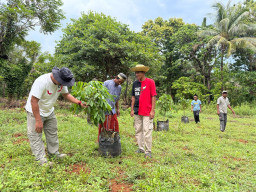 Legislator PDI-P Tanam Kelengkeng di Pulau Masakambing, Jaga Harmoni Warga dan Kakaktua Langka